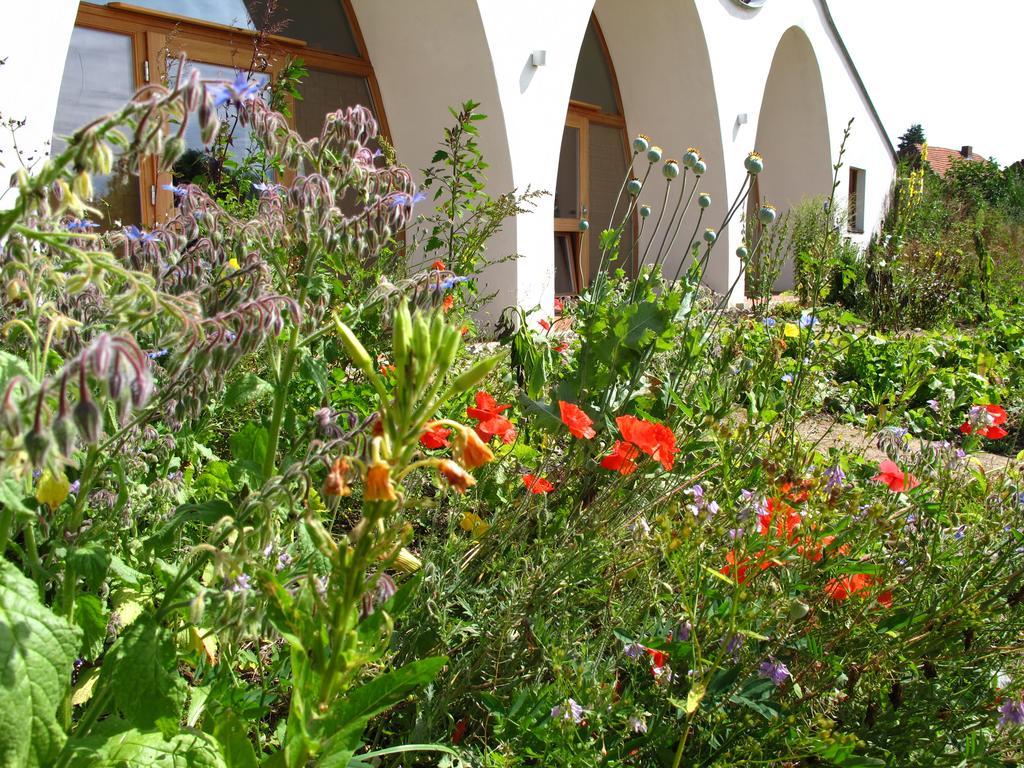 Gaestehaus Am Wangeliner Garten Extérieur photo